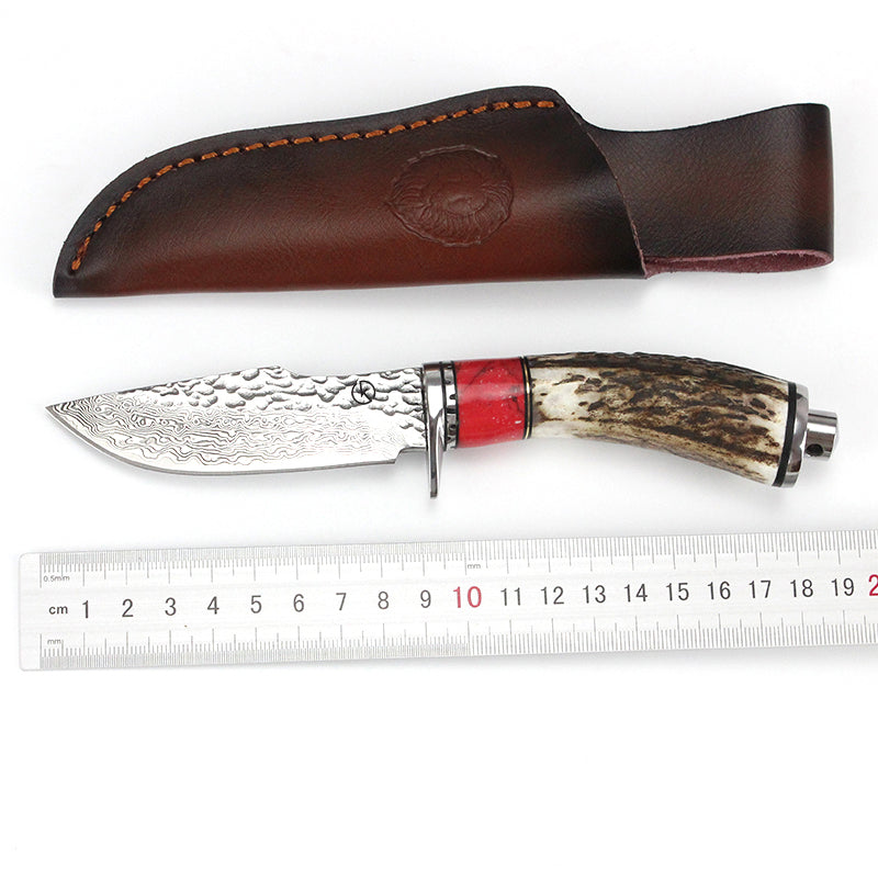 Koch Knives Handmade Stainless Steel Damascus Hunter Outdoor Knife GT0165