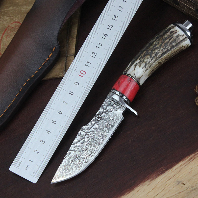 Koch Knives Handmade Stainless Steel Damascus Hunter Outdoor Knife GT0165