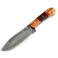Koch – Carbon Damascus – Outdoor Tool – DHK-HBROW