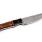 Koch – Stainless Damascus – Outdoor Tool – MB-SDHK-0014