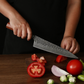 Anjin-Sama – Forged Steel – Kiritsuke Kitchen Utensil – DMS-327C